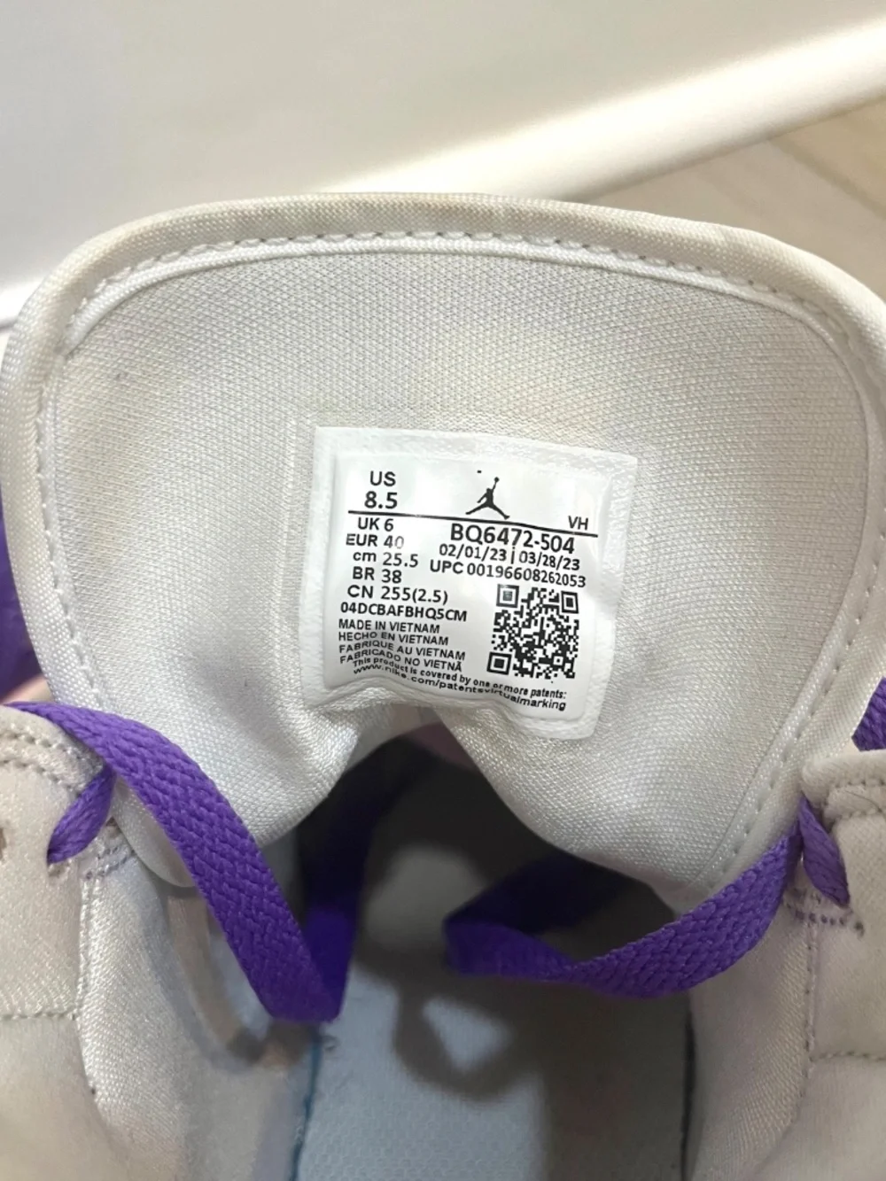 Nike Air Jordan 1 Mid in Action Grape (Purple)